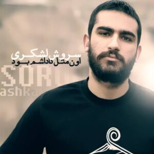 آهنگ هیچکس اون مثل داداشم بود