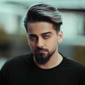 آهنگ بردیا مصلحت